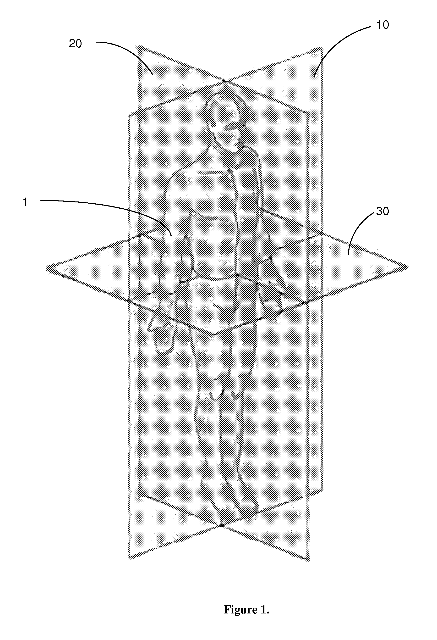 Cartesian human morpho-informatic system