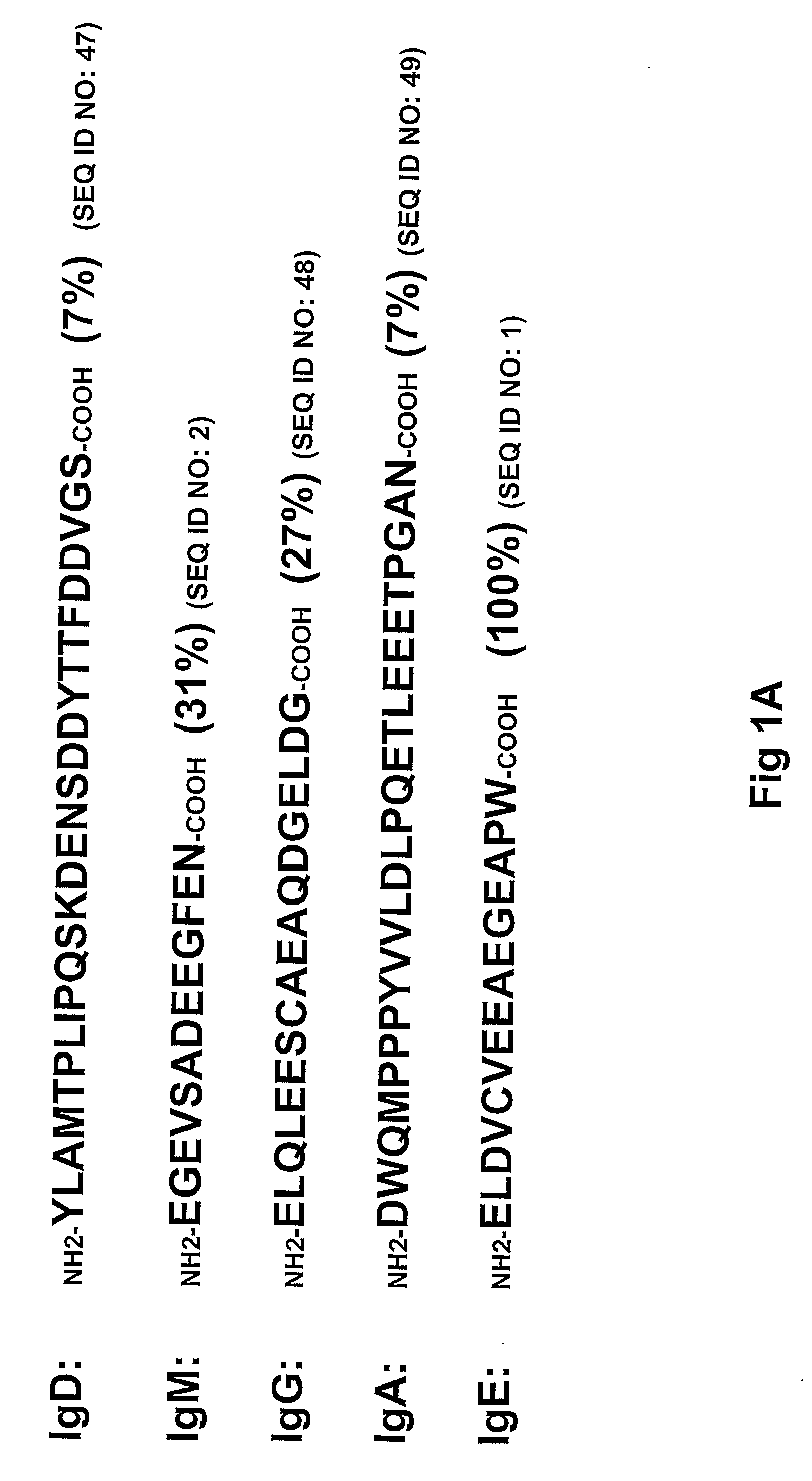Method of Identifying Membrane Ig Specific Antibodies and Use Thereof for Targeting Immunoglobulin-Producing Precursor Cells