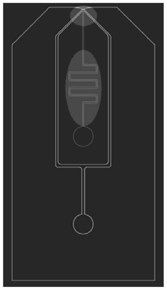 Mass spectrum combined multichannel electrospray micro-fluidic chip ion source