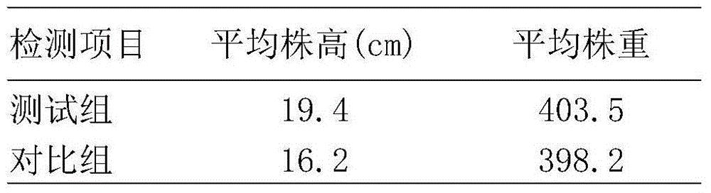 Humic acid compound fertilizer prepared by peat fermentation and preparation method thereof