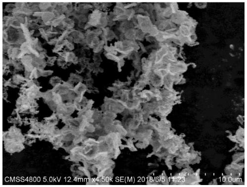 Preparation method and application of coralline-shaped layered porous carbon in lithium sulfur battery