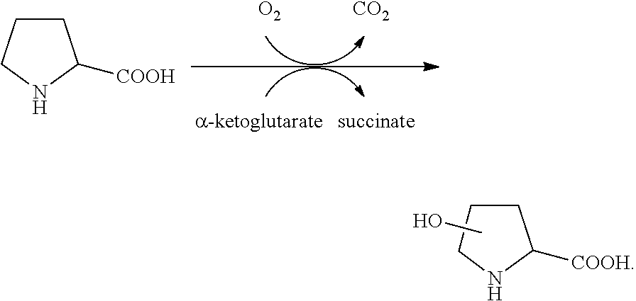 Polynucleotides encoding biocatalysts and methods for hydroxylation of chemical compounds