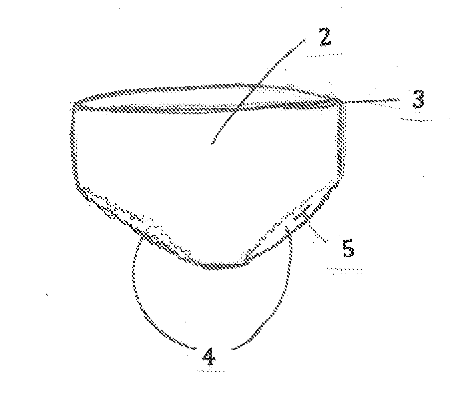Protective Garment with Separate but Affixed layer