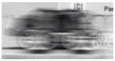 Wide baseline multi-array optical detection system and setting method thereof