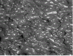 Self-adaptation flotation froth image enhancement method based on fractional order differential