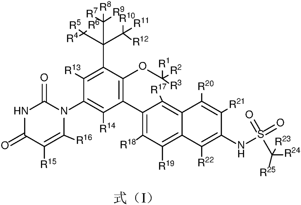 A kind of substituted naphthalene ring compound, pharmaceutical composition and application thereof