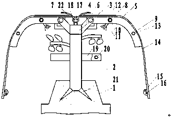Tomato planting support with functions of preventing insects and watering
