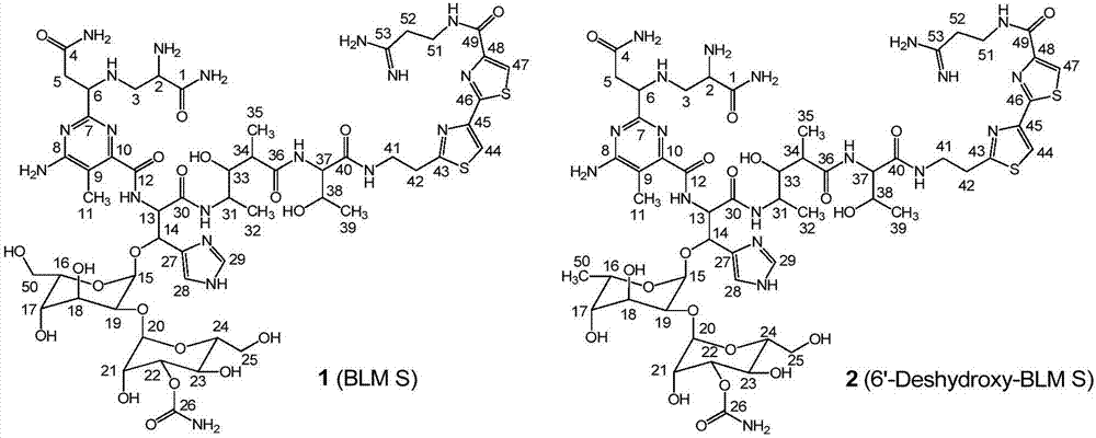 A kind of separation and purification method of bleomycin derivatives