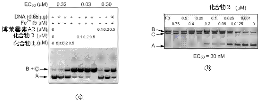 A kind of separation and purification method of bleomycin derivatives