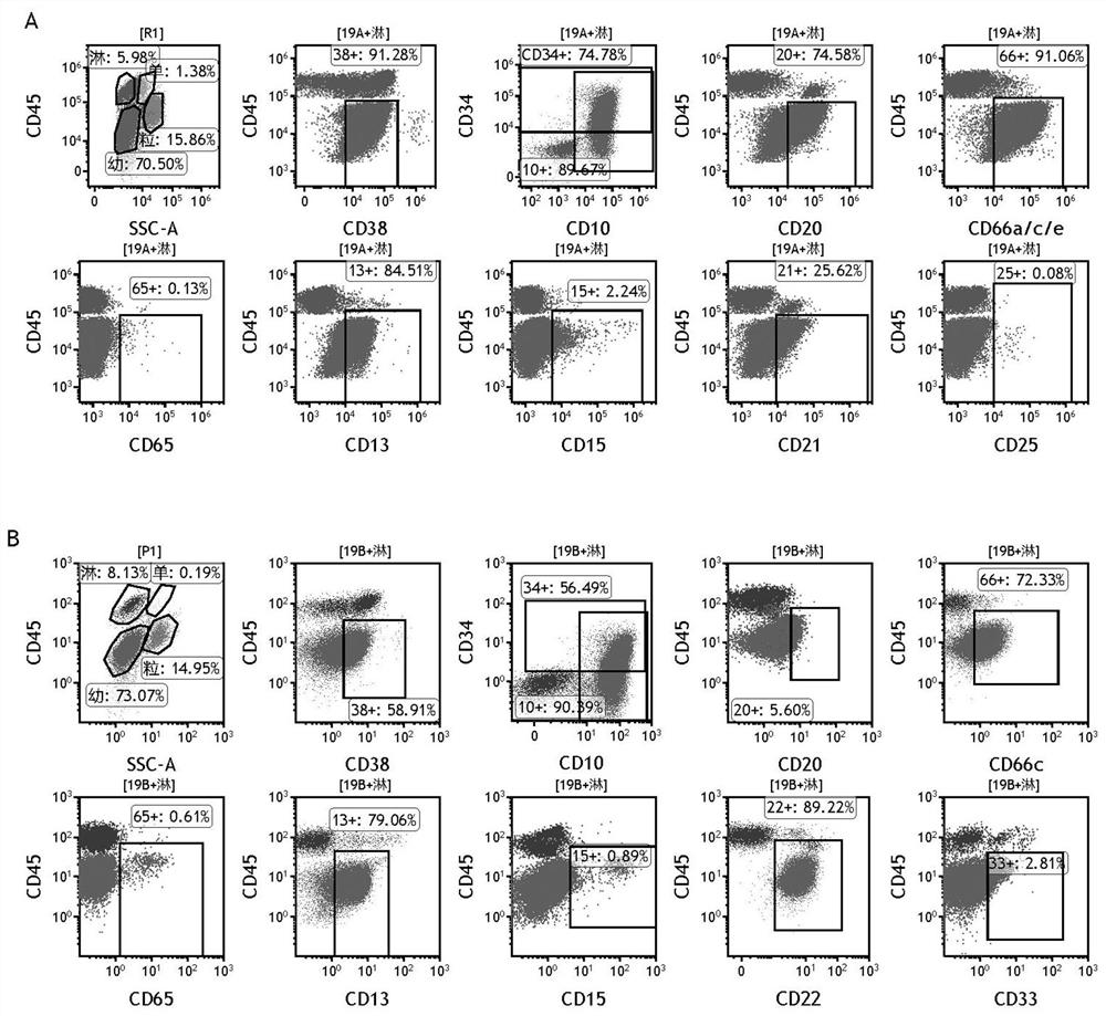 Reagent composition for b-all/lbl immunotyping and application thereof