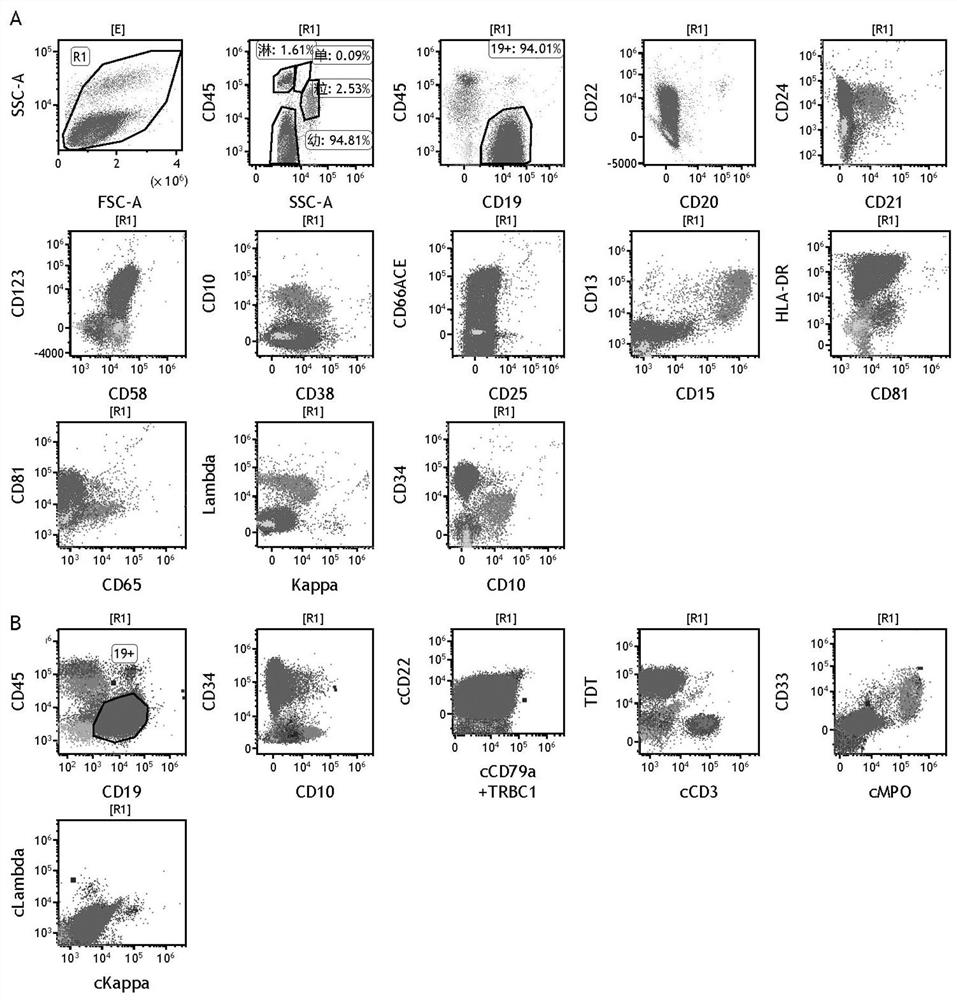 Reagent composition for b-all/lbl immunotyping and application thereof