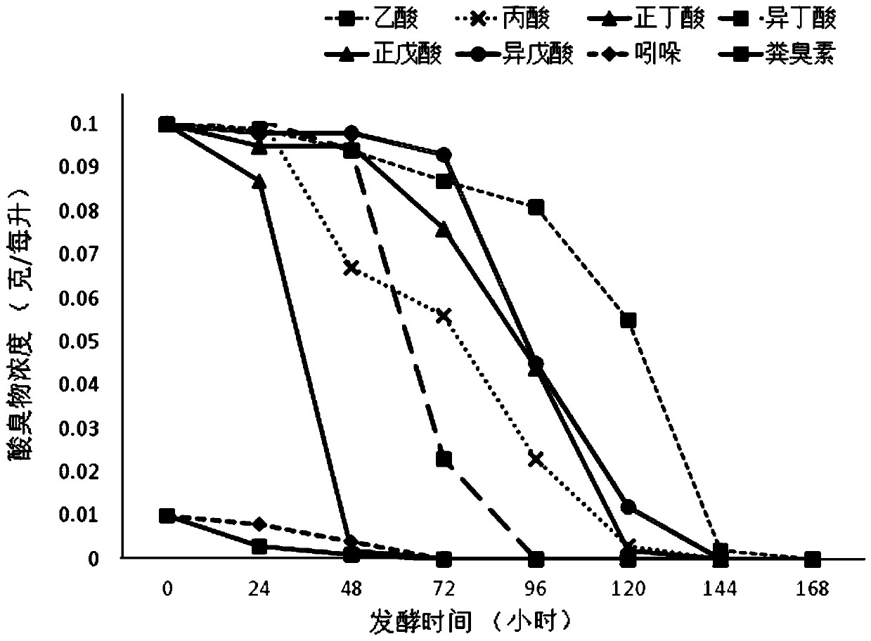 A kind of lysinic bacillus that degrades the sour and odorous matter of dairy cow manure and its application