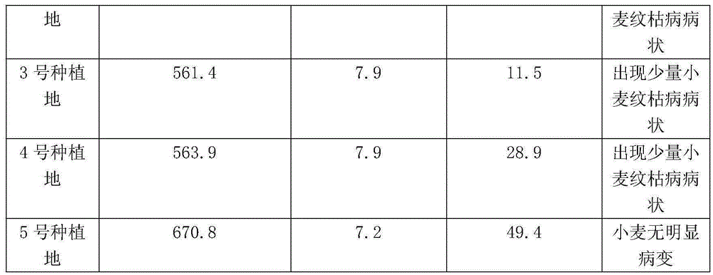 Method for planting wheat on severe saline-alkali soil