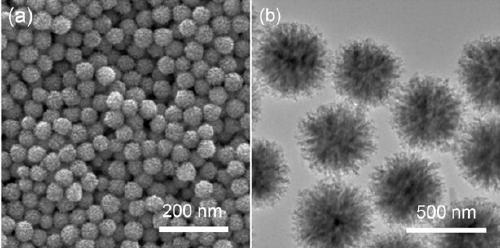 Preparation method of high-saturation magnetization superparamagnetic porous ferrite microspheres