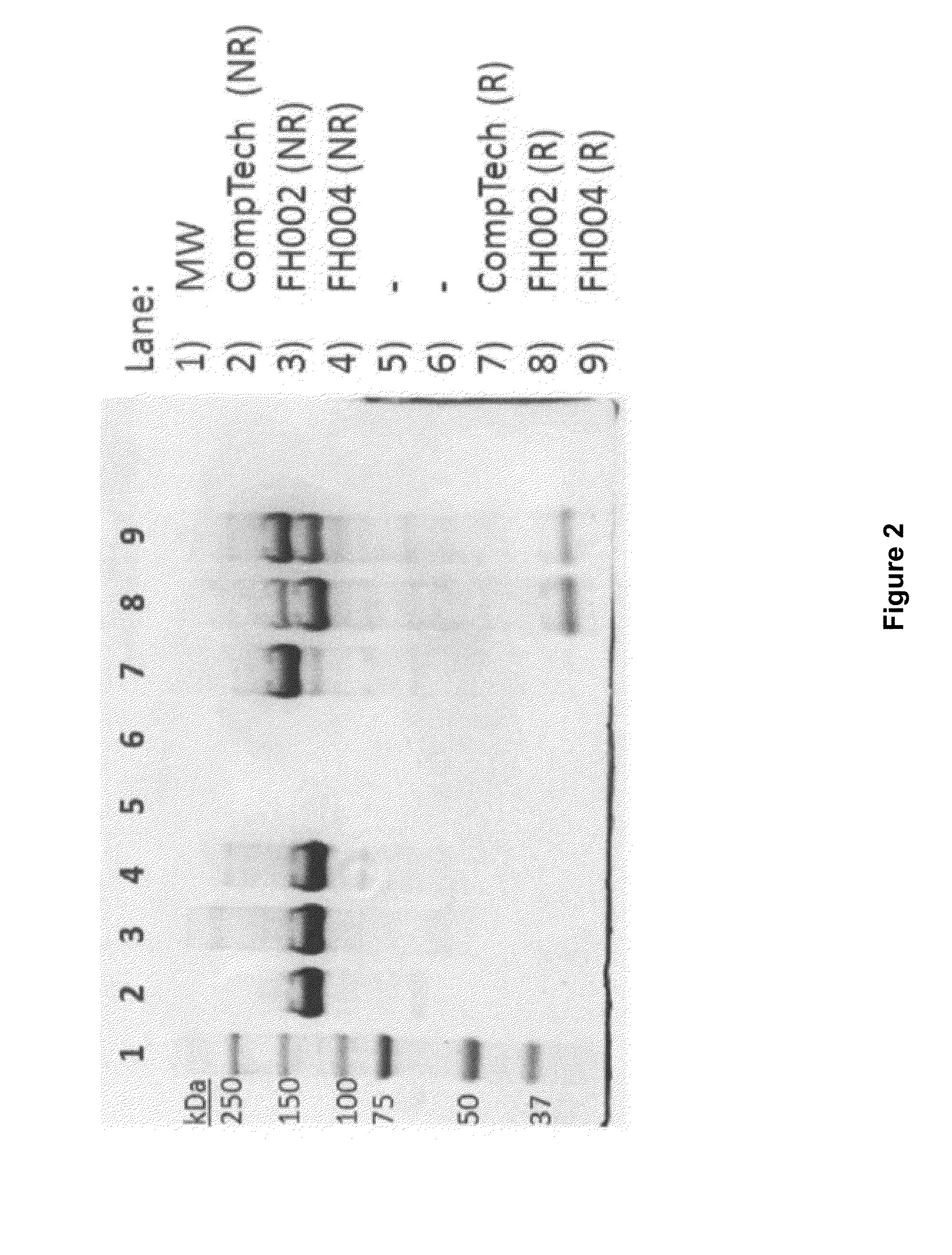 Method for producing factor h from a plasma precipitation fraction