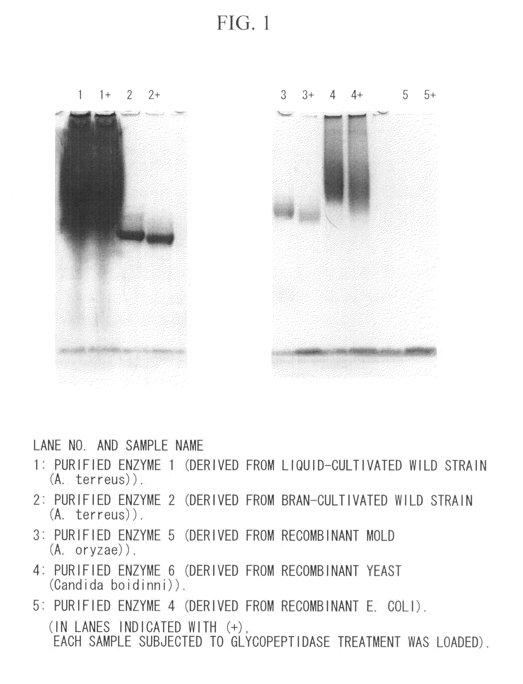 Coenzyme-Linked Glucose Dehydrogenase and Polynucleotide Encoding the Same