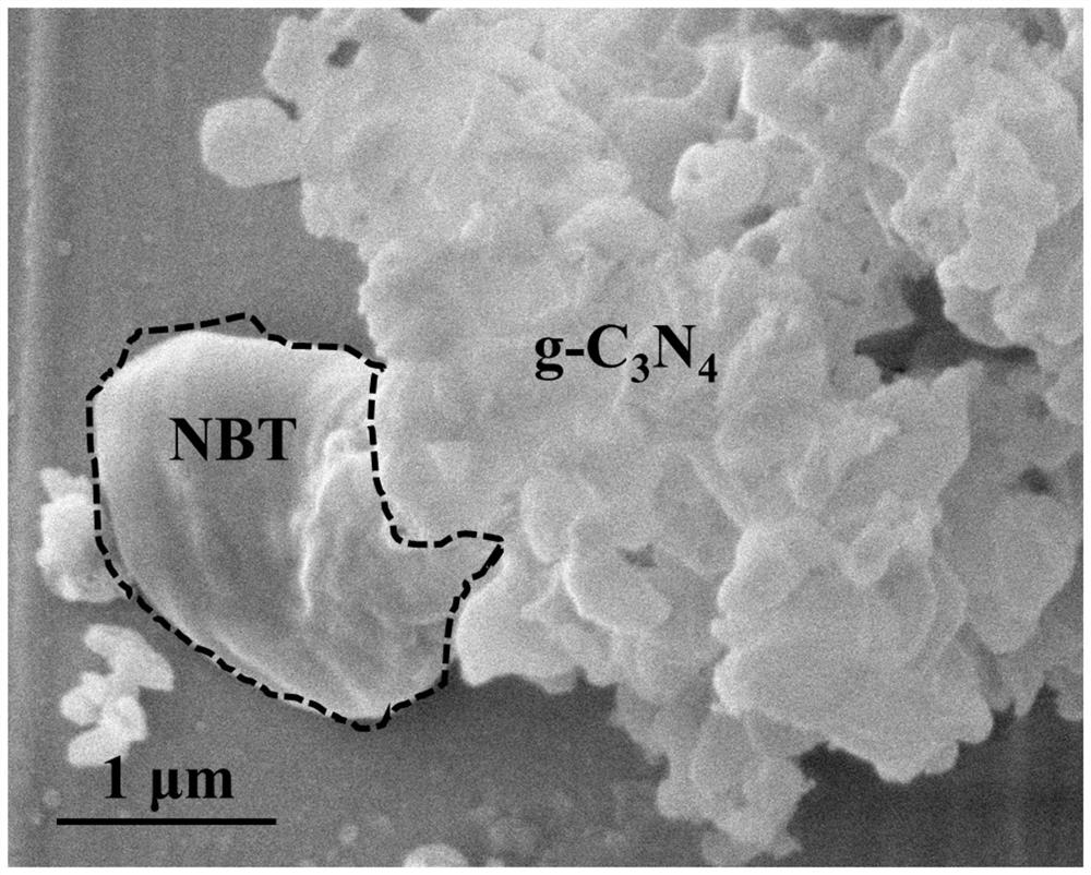 Sodium bismuth titanate/graphite phase carbon nitride heterojunction piezoelectric photocatalyst and preparation method thereof