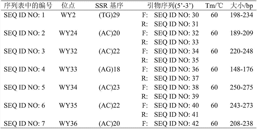 Polymorphism micro-satellite DNA molecular marker for deer and application of polymorphism micro-satellite DNA molecular marker