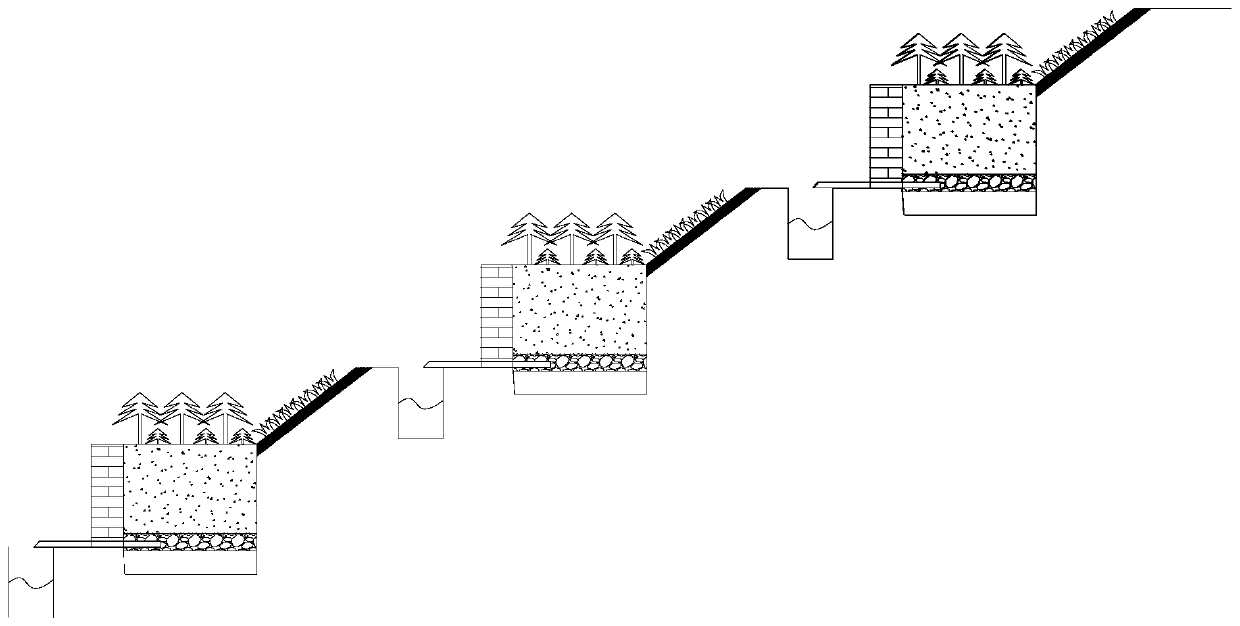 Ecological restoration method for slope vegetation