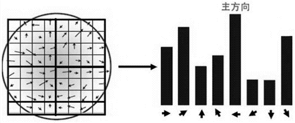Nearly copied image detection method based on multi-target matching