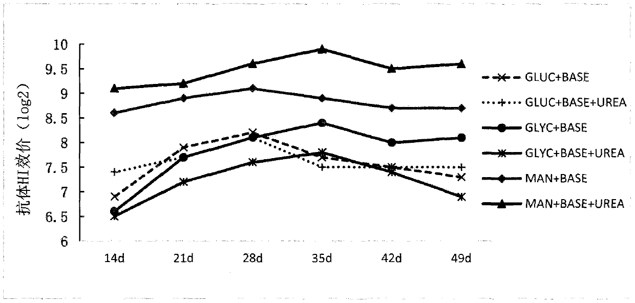 Rhodococcus ruber fermentation method and application thereof as adjuvant in animal vaccines
