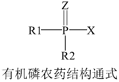 Detergent composition