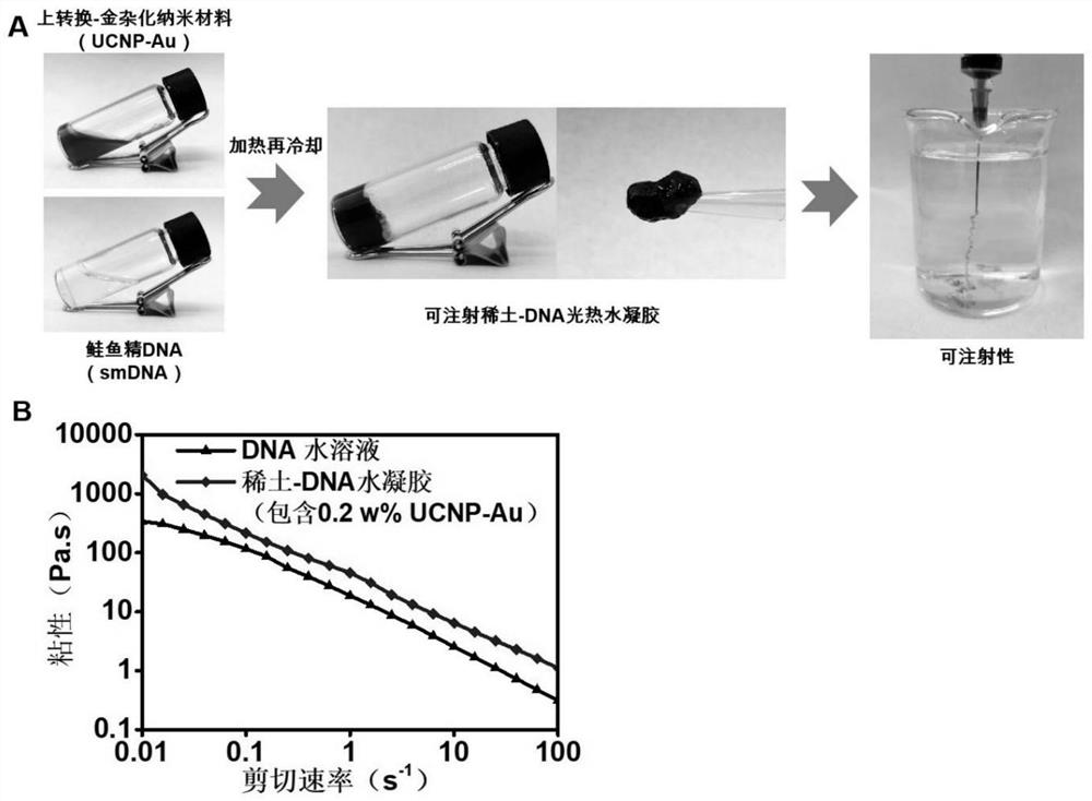 A kind of injectable rare earth-DNA photothermal gel, its preparation method and application
