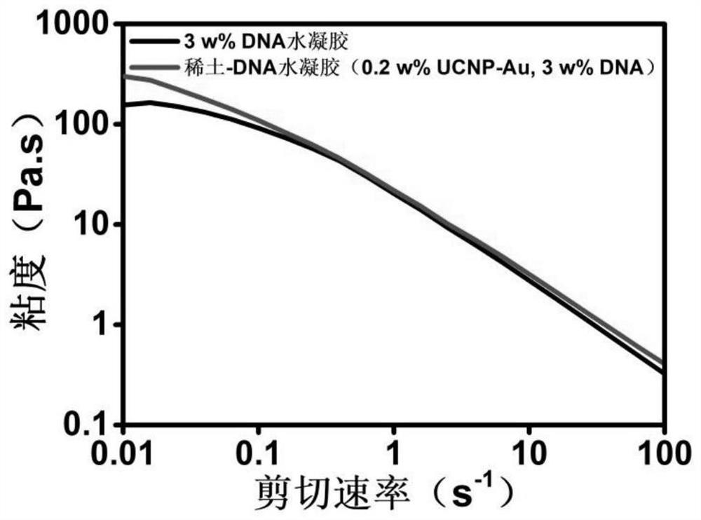 A kind of injectable rare earth-DNA photothermal gel, its preparation method and application