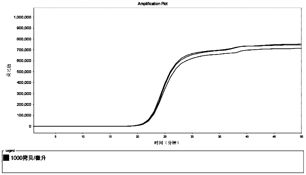 LAMP primer set, kit and detection method for IMP resistance gene resistant to carbapenem antibiotics