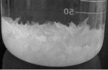 A kind of preparation method of aluminum dihydrogen phosphate crystal powder