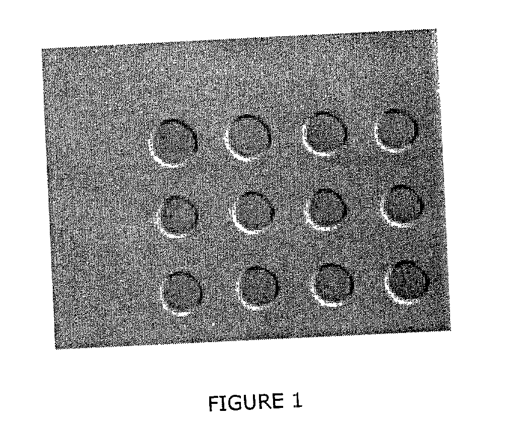 Method for the preparation of optical (bio)chemical sensor devices