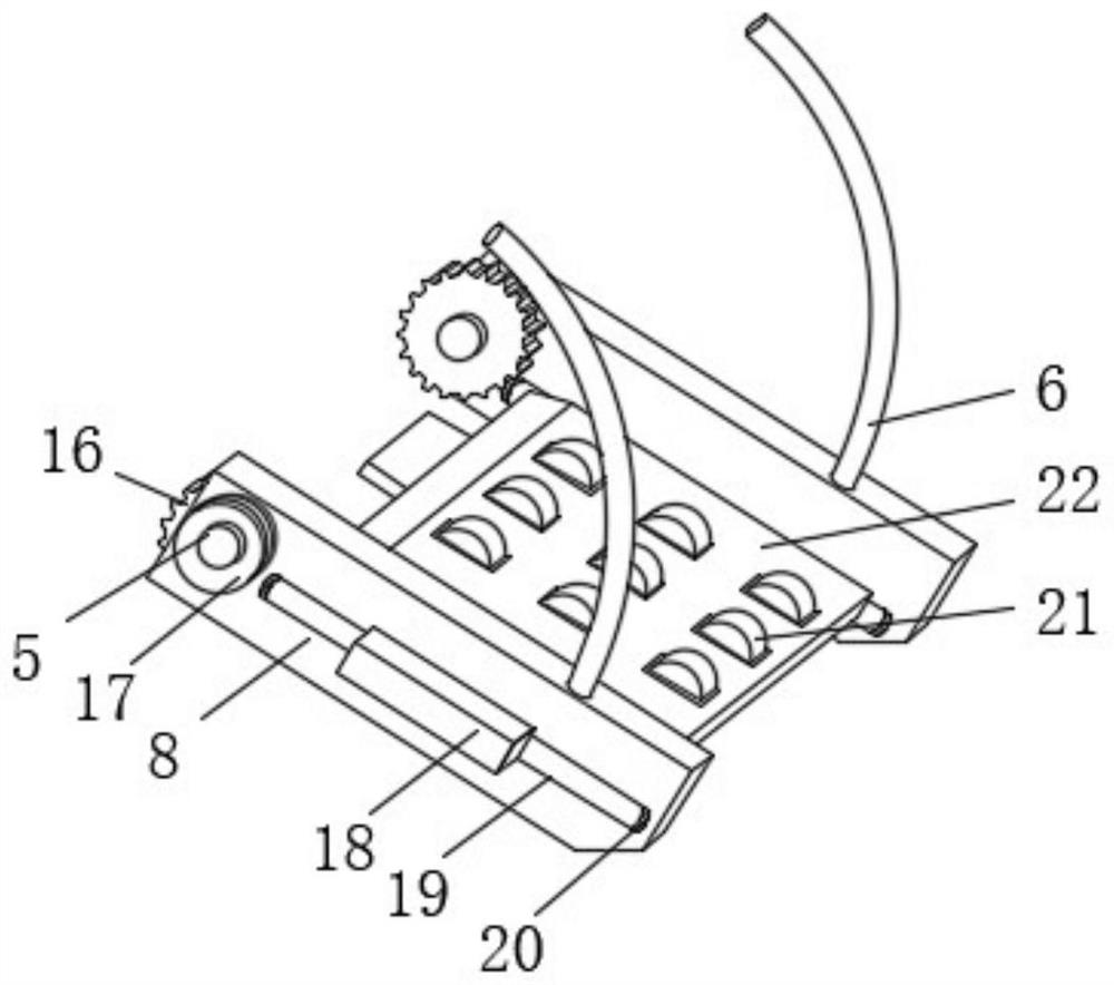 Conveyor mechanism for food safety inspection with automatic screening function