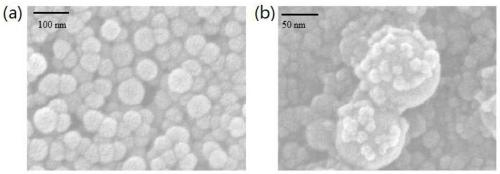 Preparation method and application of ratio-type CNQDs/TiO2/AuNCs composite fluorescent microsphere