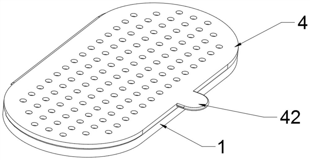 Auxiliary device for promoting postoperative wound healing of complex anal fistula and perianal abscess
