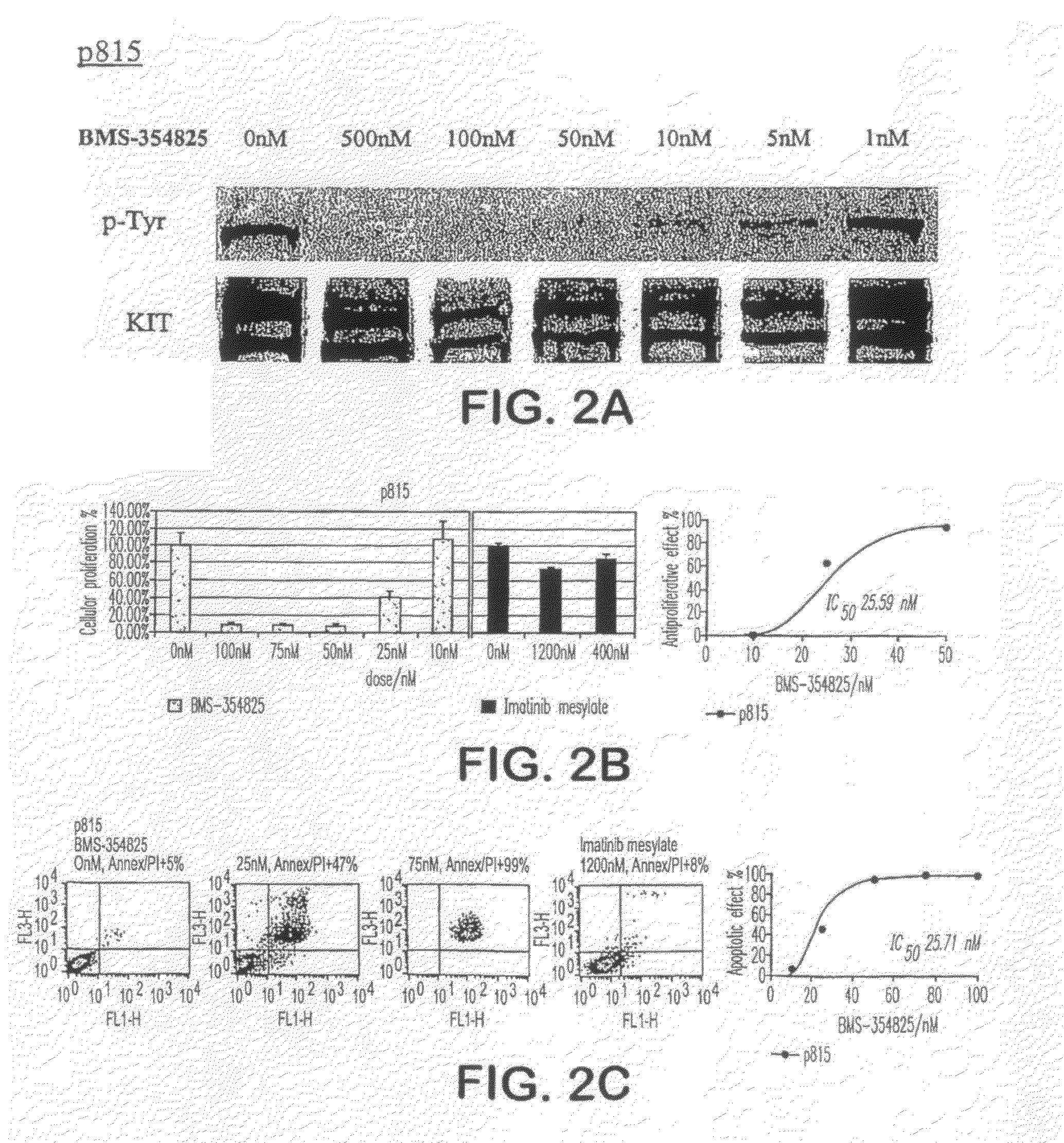 Methods of identifying and treating individuals exhibiting mutant kit protein