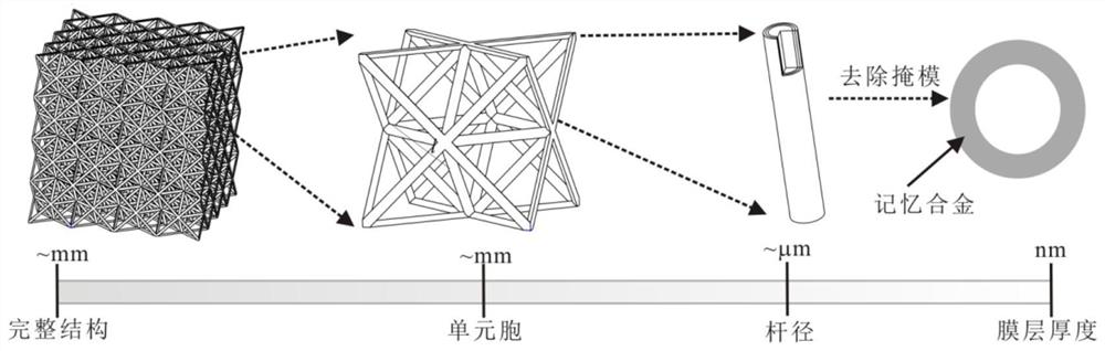 Shape memory alloy hollow micro-lattice material and preparation method thereof
