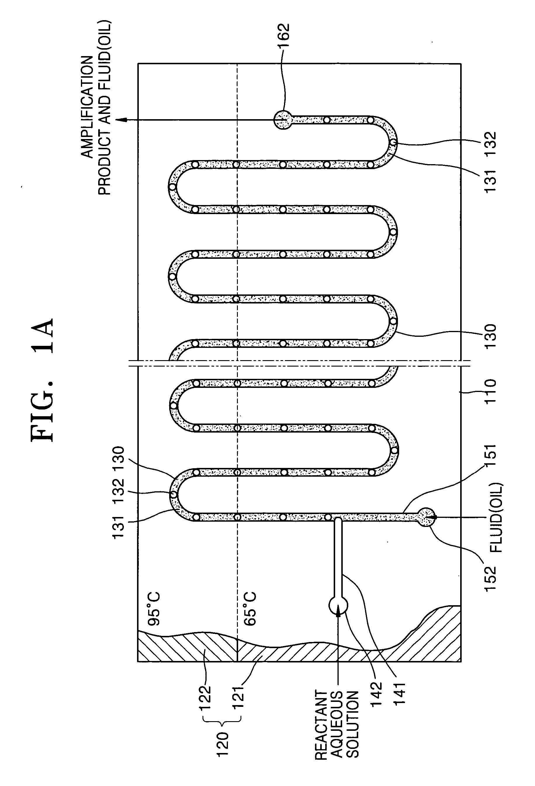 Method and apparatus for amplifying nucleic acids