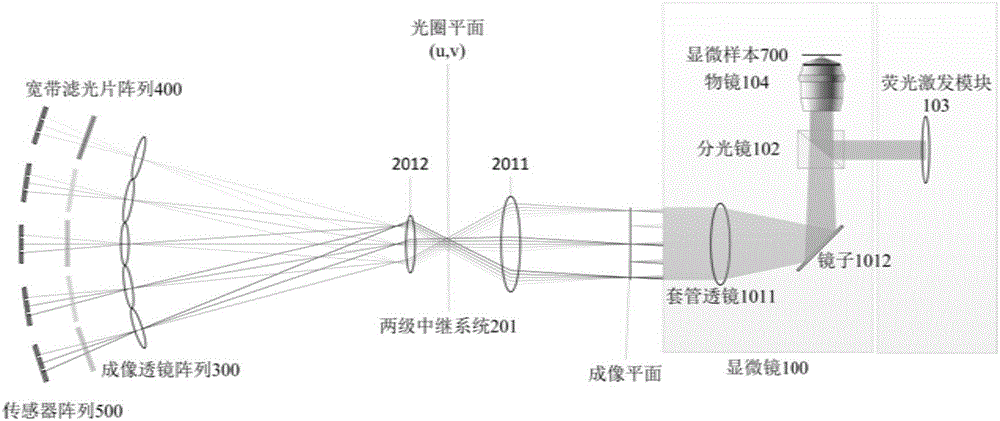 Three-dimensional hyperspectral microscopic imaging system and imaging method