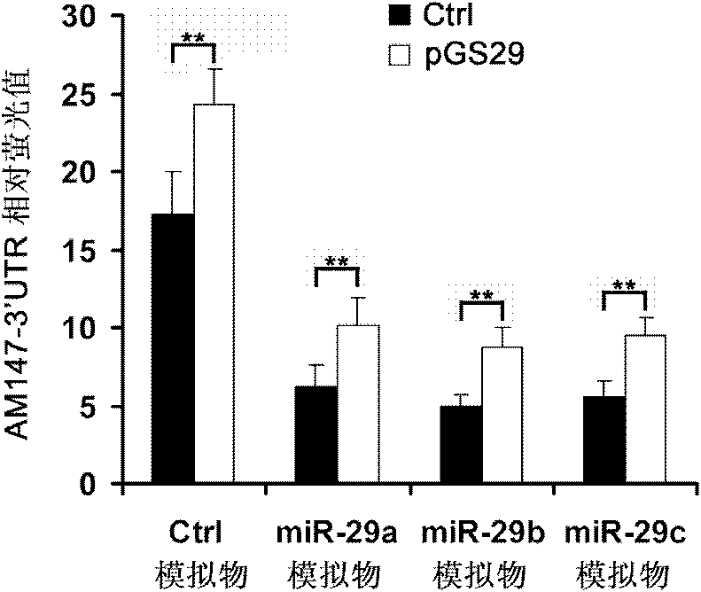 miRNA (micro Ribonucleic Acid) absorption carrier, preparation method and uses thereof