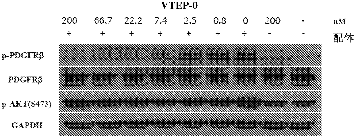Vegf and PDGFRβ bispecific fusion protein and use thereof