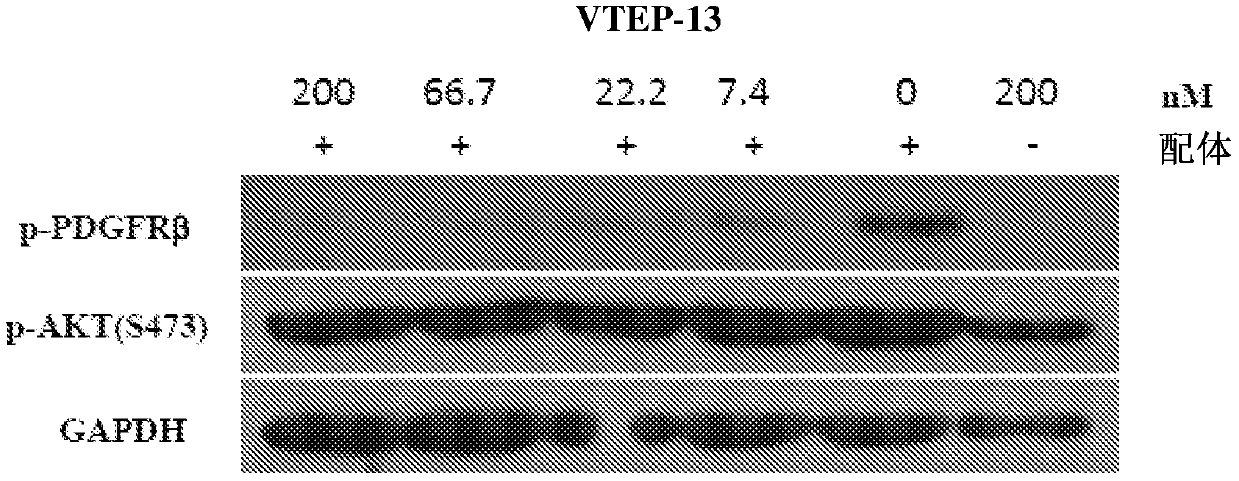 Vegf and PDGFRβ bispecific fusion protein and use thereof