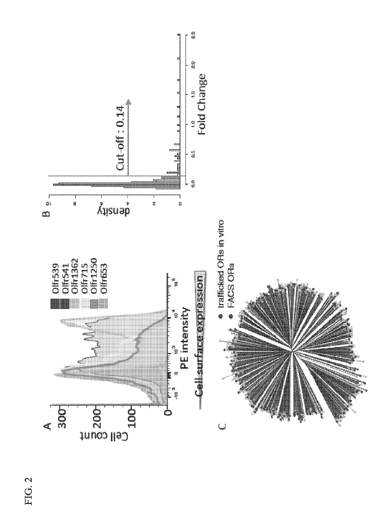 Methods for vapor detection and discrimination with mammalian odorant receptors expressed in heterologous cells