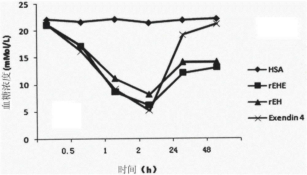 Recombinant insulin secretion promoter fusion protein and its preparation method and use