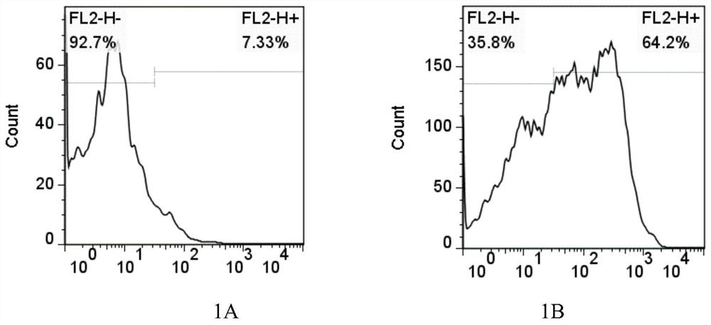 A kind of construction method of mrfft1 cell