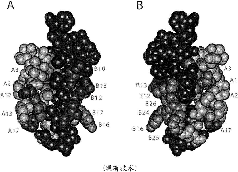 Site 2 insulin analogues