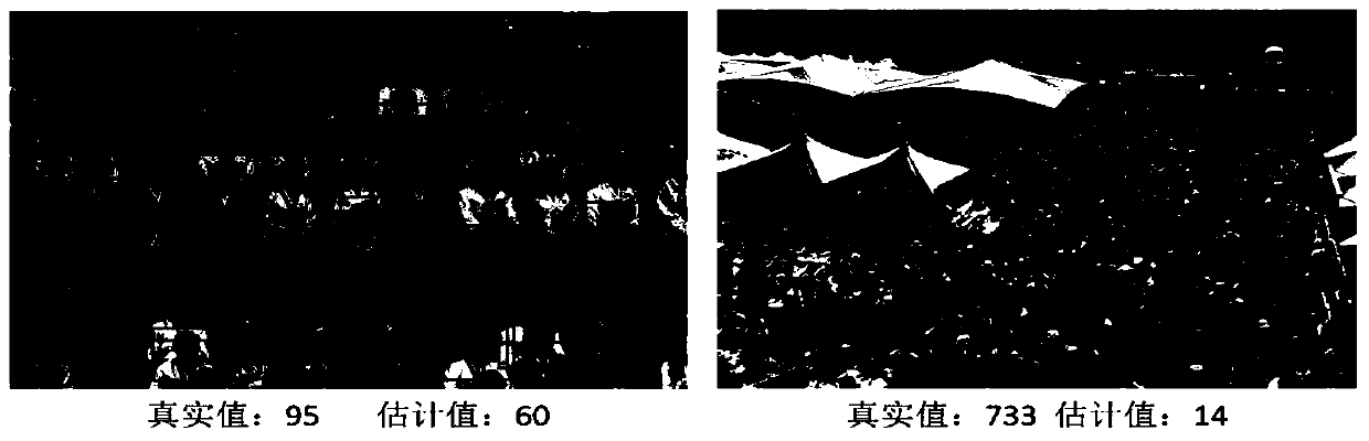 Dense crowd estimation method based on deep learning