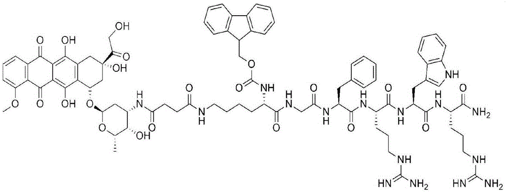 Amphiphilic oligopeptide drug conjugate