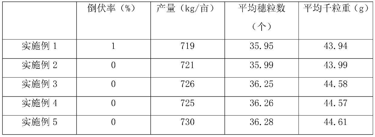 Row-expanding and plant-strengthening cultivation method for wheat