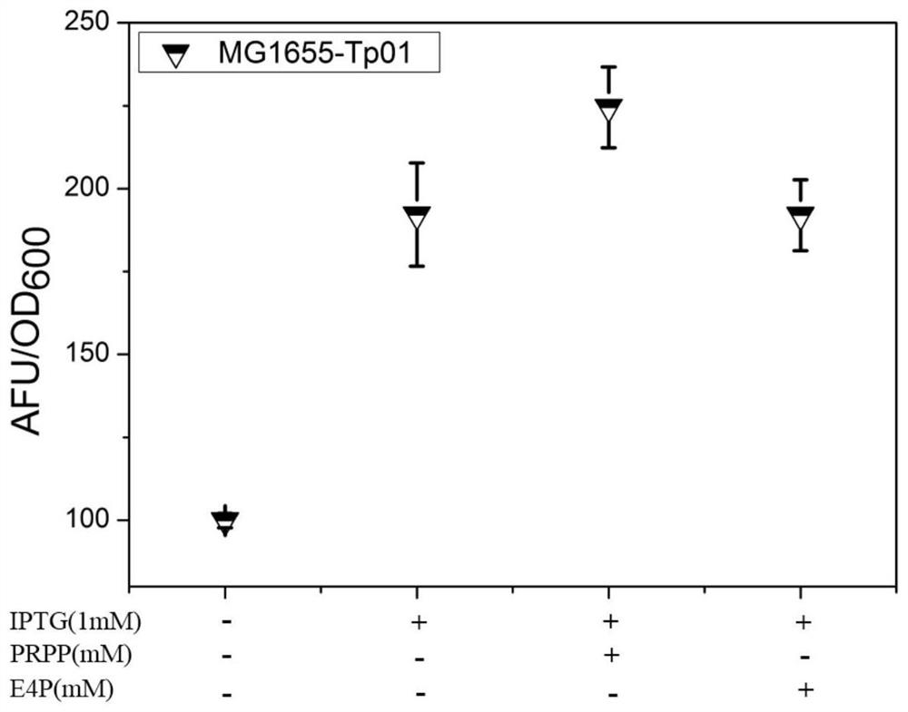 Method for rapidly detecting E4P production capability of to-be-detected strain and biosensor used in method