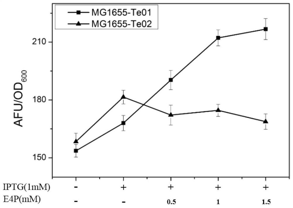 Method for rapidly detecting E4P production capability of to-be-detected strain and biosensor used in method